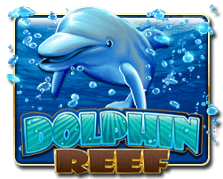 Dolphin Reef - mamak24m