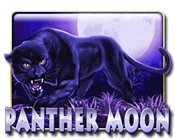 Panther Moon - mamak24m