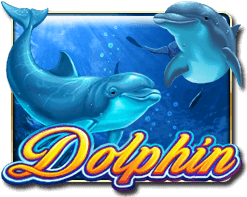 Dolphin - mamak24m